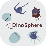 DinoSphere Seminar — Rocío Mozo on the Phylogenomics of Coral Photosymbionts