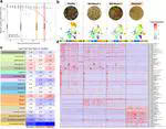 New paper in Microbiome: Coral bleaching, cell by cell