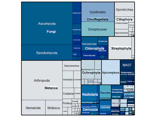 PR2 — A reference 18S rRNA sequence database